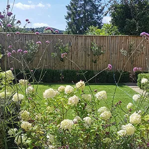 A garden filled with lots of flowers next to a wooden fence.